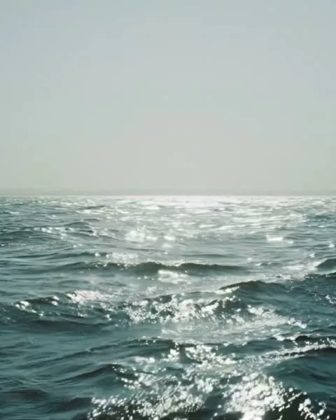 NNZN is Dead, the sea